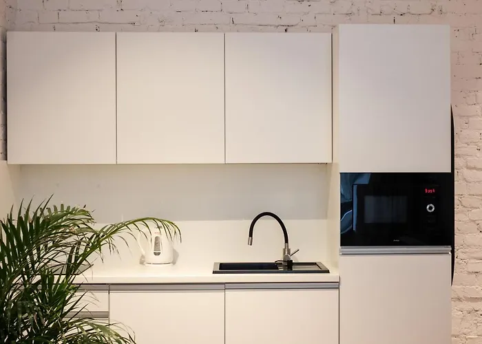 Sympatyczne Z Palma Areka / A With Areka Palm Tree Апартаменти Лодзь